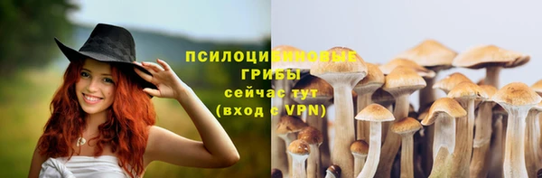 прущие крисы Алзамай
