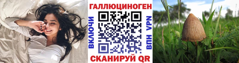 Галлюциногенные грибы Psilocybine cubensis  ссылка на мегу сайт  Черемхово 