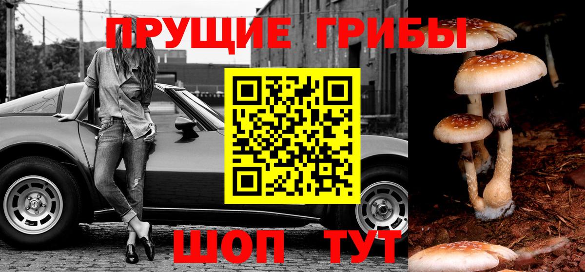 Галлюциногенные грибы ЛСД  Галлюциногенные грибы Psilocybine cubensis  Черемхово  Вход с VPN 